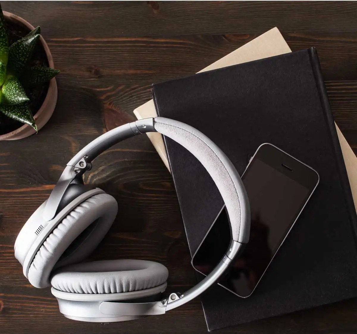 Khám Phá Thế Giới Sách Nói Tiếng Anh - Nâng Cao Kỹ Năng Nghe và Từ Vựng